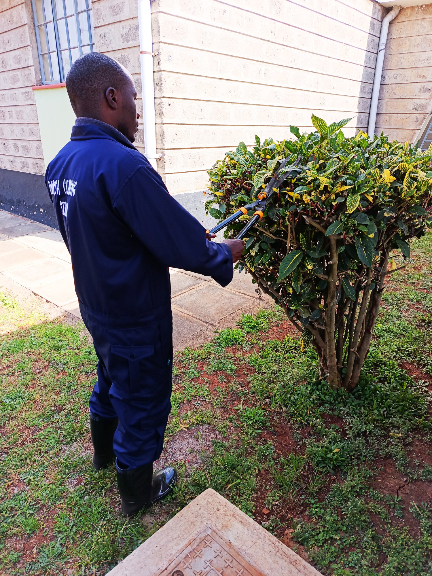 Dorsa landscaping technician trimming a hedge on a client property