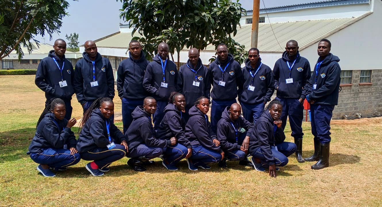 Dorsa Cleaning Services outdoor crew in uniform on-site in Nairobi