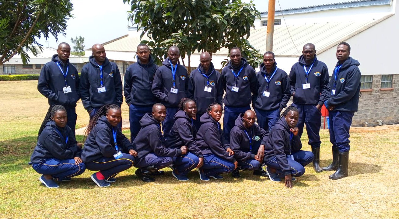 Dorsa Cleaning Services team photo 79 — our trained team