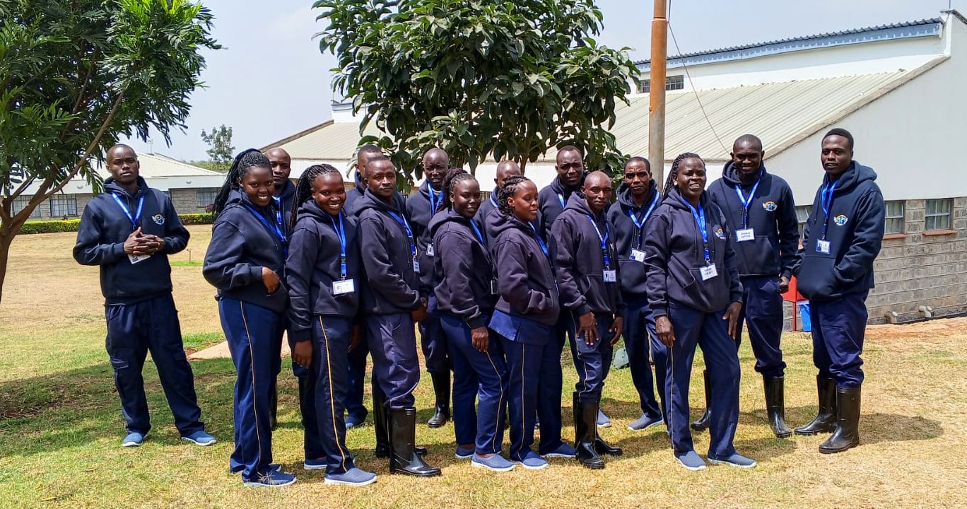Dorsa Cleaning Services team photo 89 — full team assembly