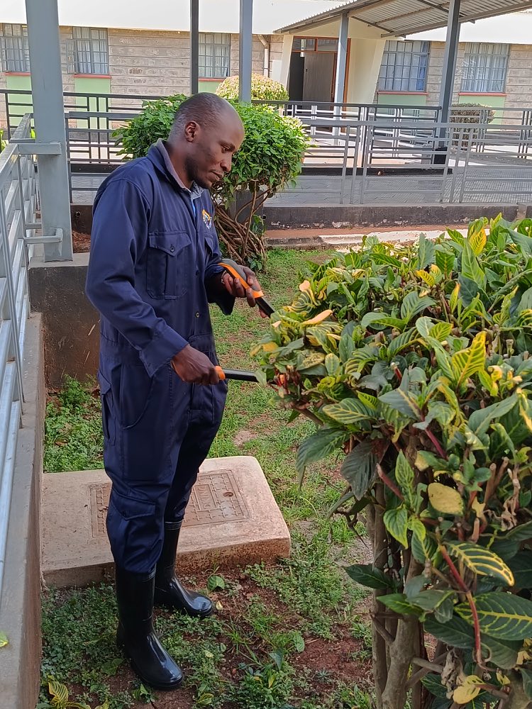 Dorsa groundskeeper trimming hedges on a client property