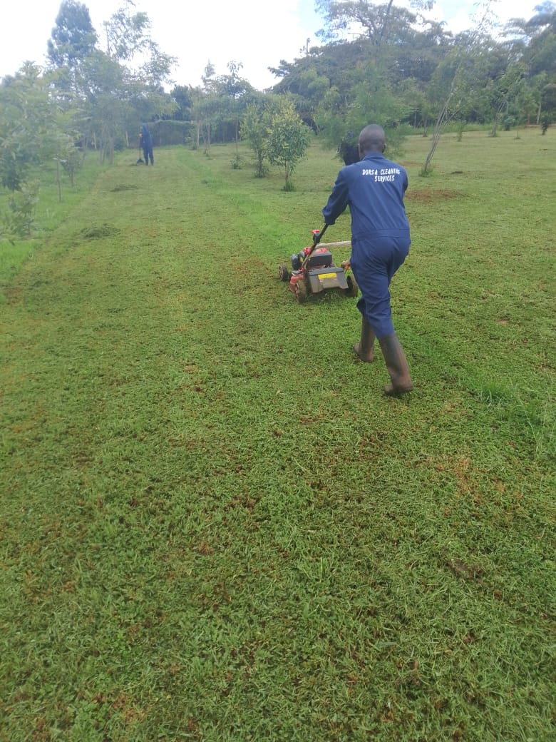 Dorsa team performing landscaping and garden maintenance